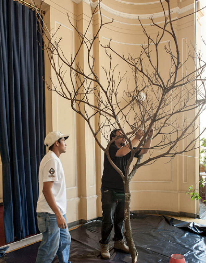 Crew installing blossom tree